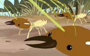 Termites vs Tongues-46
