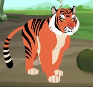 Red Bengal Tiger (Panthera tigris tigris)