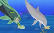 Bottlenose Dolphin Power | Wild Kratts Wiki | Fandom