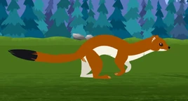 Animation (Summer)
