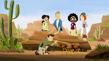 Wolf Hawks | Wild Kratts Wiki | Fandom
