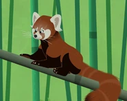 Redpandaadult.png (403 KB) Red Panda (Ailurus fulgens)