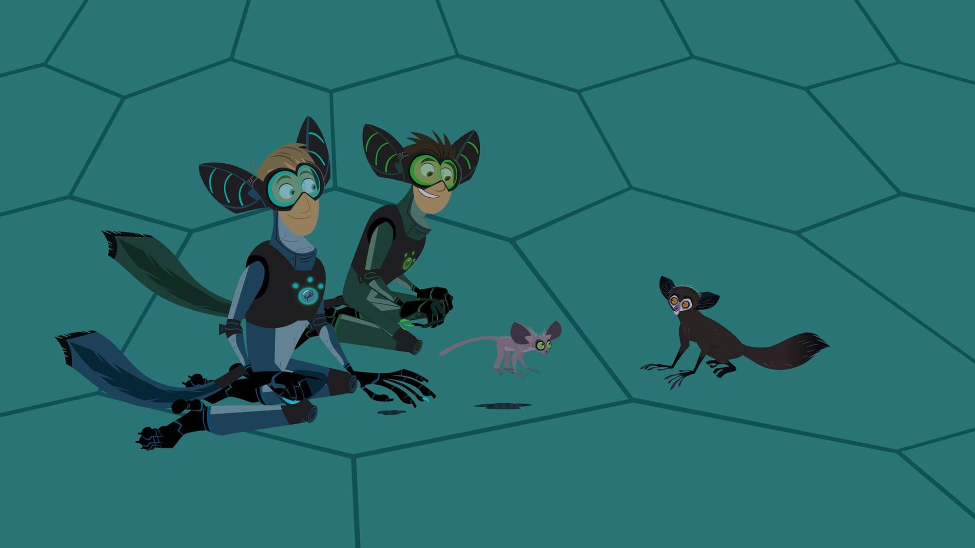 Aye Aye Wild Kratts Wiki Fandom