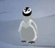 Spinner begging for food