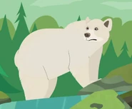 Spirit Bear (Ursus americanus kermodei)