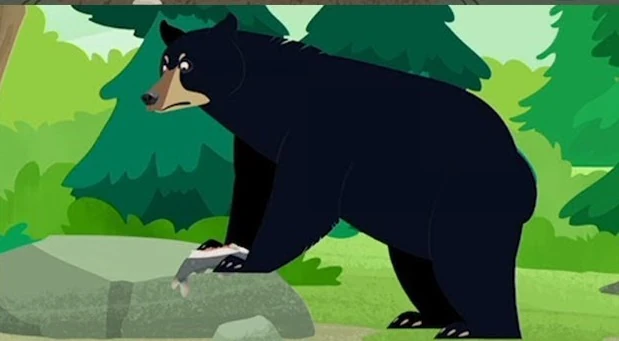 Sloth Bear Wild Kratts Wiki Fandom | atelier-yuwa.ciao.jp
