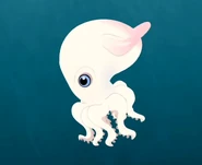 Dumbo Octopus (Grimpoteuthis discoveryi)