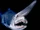 Goblin Shark
