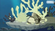 Frogfish Power | Wild Kratts Wiki | Fandom