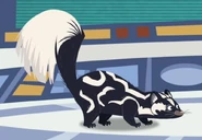 Western Spotted Skunk (Spilogale gracilis)