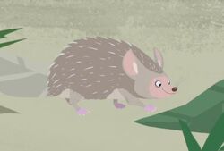 List of species seen in Wild Kratts | Wild Kratts Wiki | Fandom List of species seen in Wild Kratts | Wild Kratts Wiki | Fandom