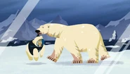Flashback to a previous encounter with polar bears.