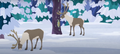 Reindeer.png (652 KB) Reindeer