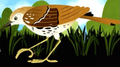 Brown Thrasher.png (1.42 MB) Brown Thrasher