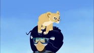 A lion cub on Martin's head
