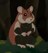 European Hamster (Cricetus cricetus)