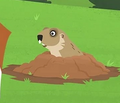 BH African Mole Rat.png (34 KB) BH African Mole Rat
