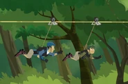 Hummingbird Wild Kratts.14.png (273 KB)