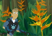 Hummingbird Wild Kratts.29.png (311 KB)