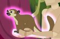 Kinkajou.jpg (109 KB) Kinkajou
