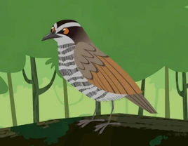 Animated (Female)
