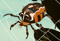 Garden Spider.png (392 KB) Garden Spider