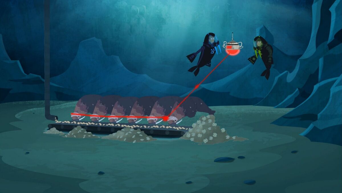 Mystery of the Weird Looking Walrus | Wild Kratts Wiki | Fandom
