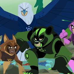 Category Season Five Episodes Wild Kratts Wiki Fandom
