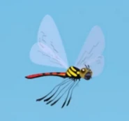 Flame-tipped Jewel (Chlorocypha flammea)