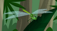 Great emerald Pondhawk (Erythemis vesiculosa)