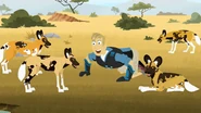 Wild-Kratts-Cats-and-Dogs.jpg (276 KB)