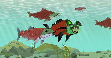 Wild kratts hero's journey full episode sale