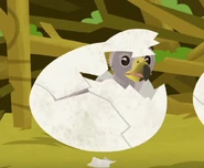 Downyegg.png (241 KB) Downy hatching