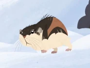 Norway lemming animated.jpg (22 KB) Norwegian Lemming (Lemmus lemmus)
