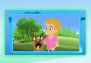 German Shepherd (Canis lupus familiaris)