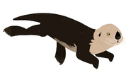 Sea Otter (Enhydra lutris)