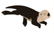 Sea otter (Enhydra lutris)