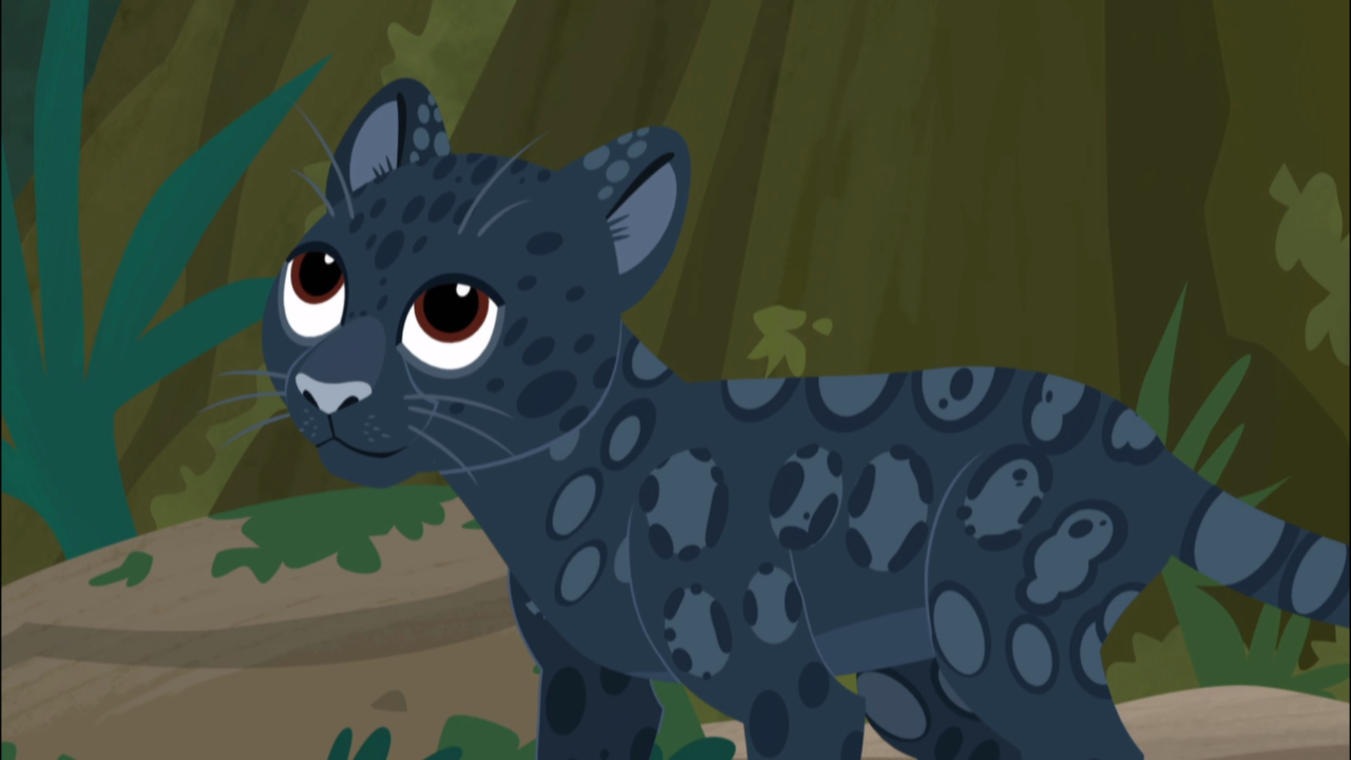 Shadow | Wild Kratts Wiki | Fandom Shadow | Wild Kratts Wiki | Fandom