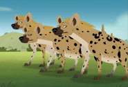 Spotted hyena (Crocuta crocuta)