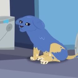 Category Baby And Juvenile Animals Wild Kratts Wiki Fandom Category Baby And Juvenile Animals Wild Kratts Wiki Fandom
