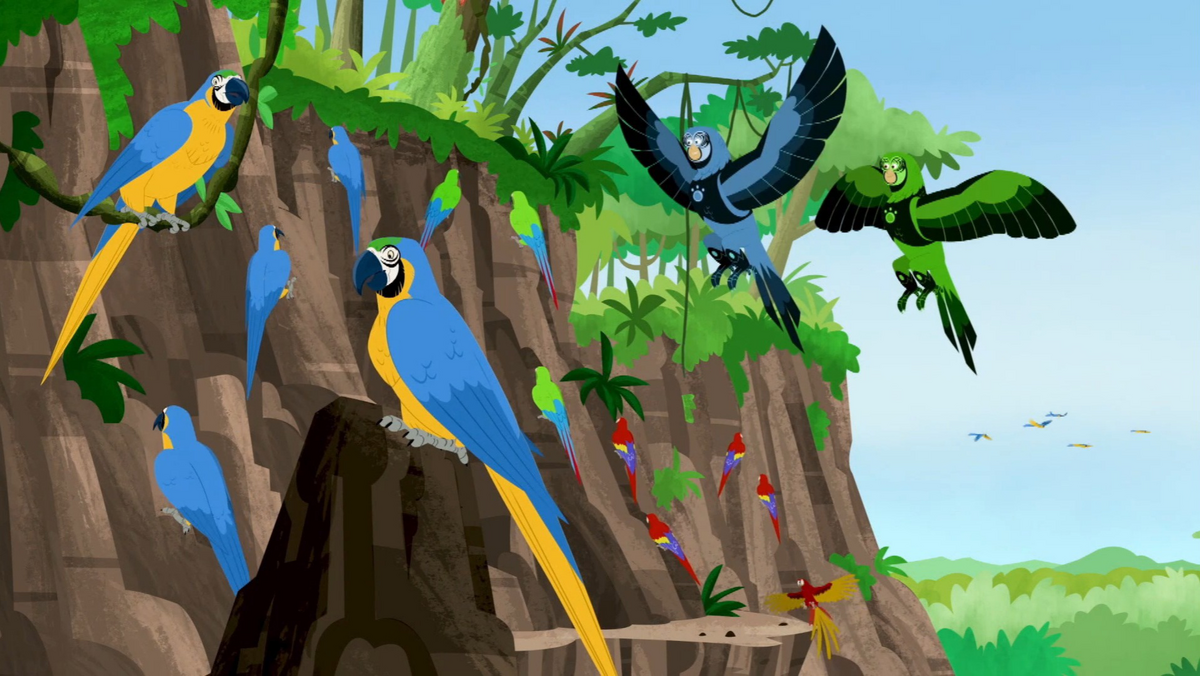 Parrot Power (episode) | Wild Kratts Wiki | Fandom