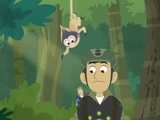 Bugs or Monkeys?