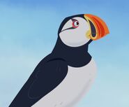 Mama Puffin