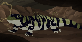 Tiger Salamander AM
