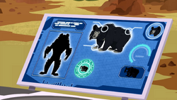 Sloth Bear Power Gallery Wild Kratts Wiki Fandom