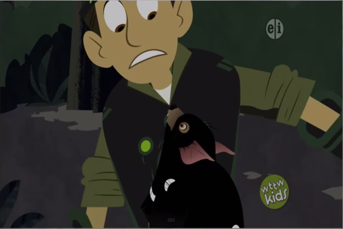 wild kratts chris