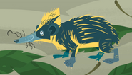 Lowland Streaked Tenrec (Hemicentetes semispinosus)
