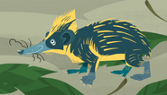 Lowland streaked tenrec (Hemicentetes semispinosus)