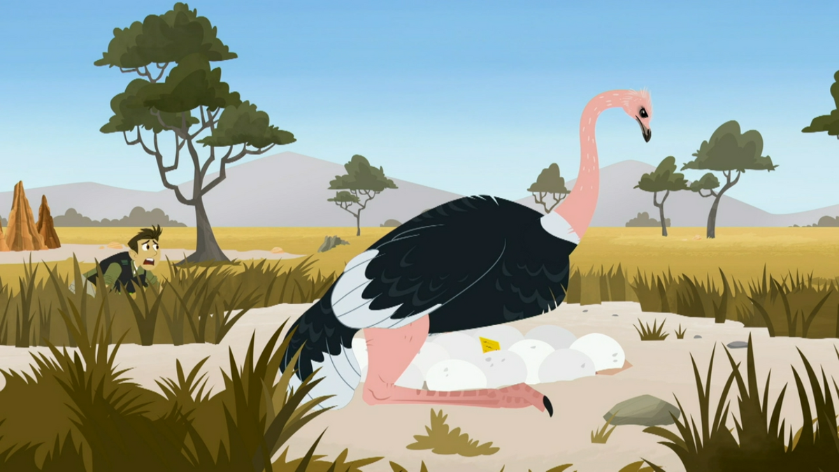 Uh-Oh Ostrich | Wild Kratts Wiki | Fandom