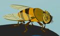 Hoverfly.jpg (133 KB) Hoverfly